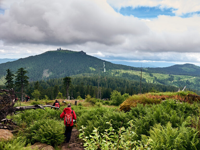 Wandern am großen Arber im Nationalpark Bayerischer Wald.