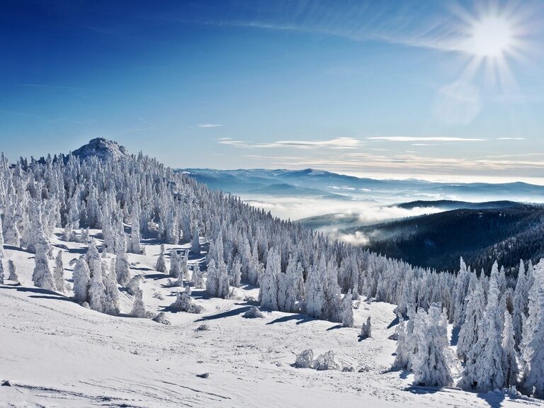 Winter
