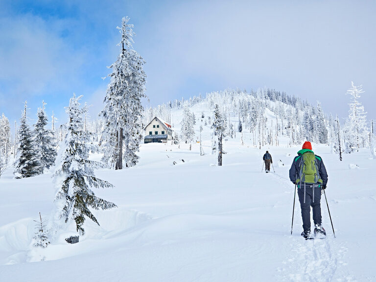 Schneeschuhwanderer durschreiten die Winterland des Bayerischen Waldes.